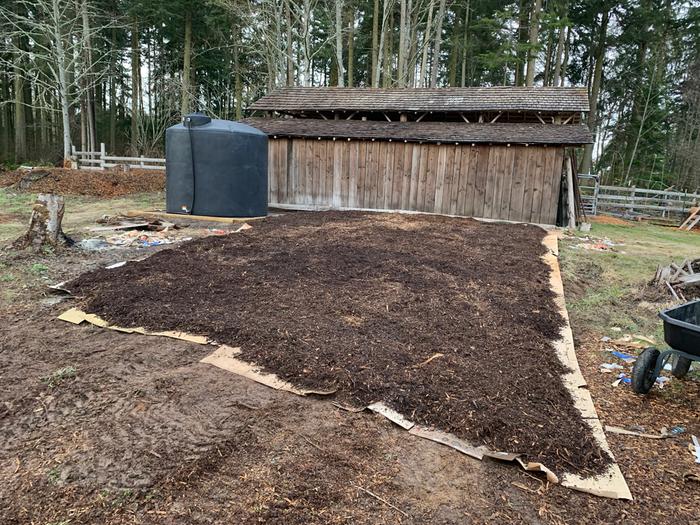 6" of composted chips