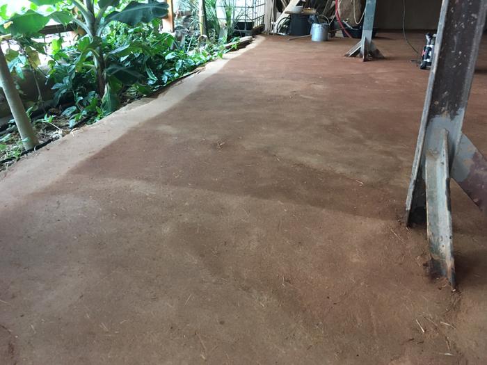 [Thumbnail for IMG_2286.JPG]