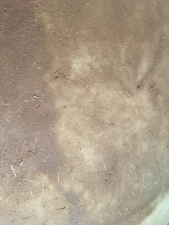 [Thumbnail for IMG_2289.JPG]