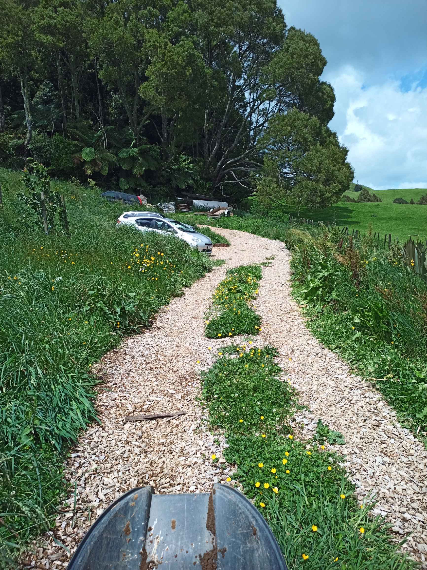 wood-chip-driveway-a-success-story-earthworks-forum-at-permies