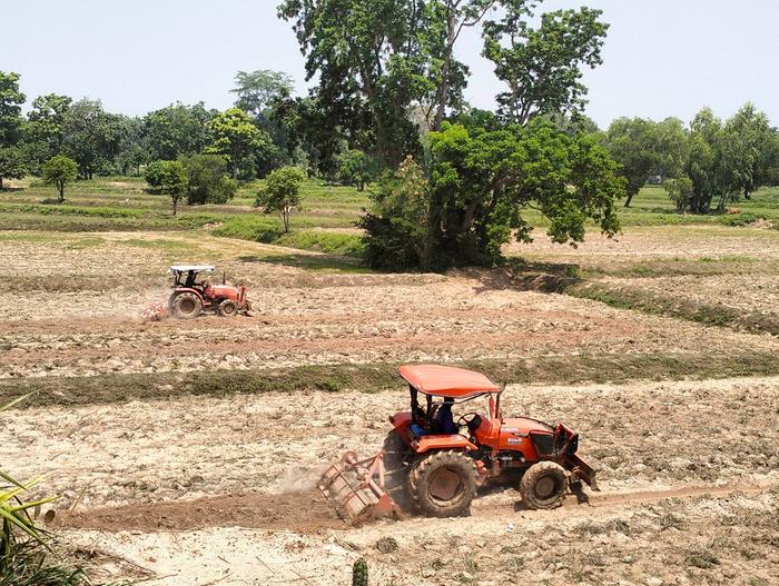 One day these monocultures are hopefully not anymore rented and and bought from our neighbor. That's also the end of this neighboring monoculture. But some bio rice.. Its ok.