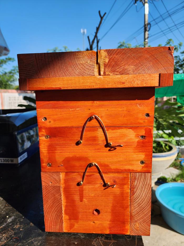 Since the trees are growing fast and many flower already it's time for some stingless bees. I built 3 hives and wait for delivery of the colonies