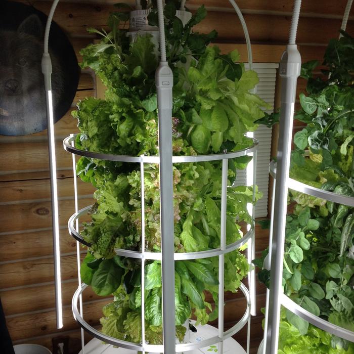 Tower Garden