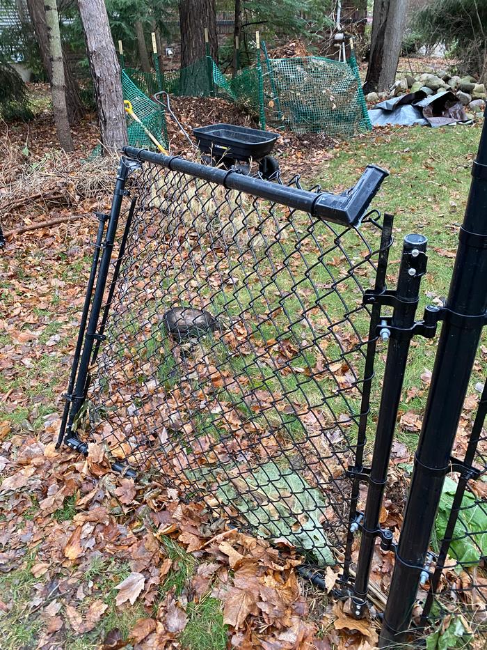 Darling Pupper crashed through the fence. 