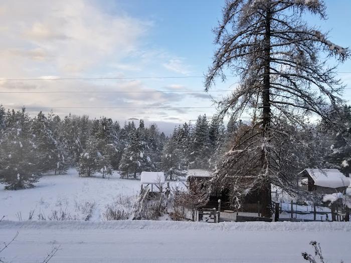 Frosty morning in Montana