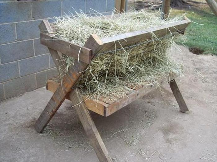 hay feeder for sheep