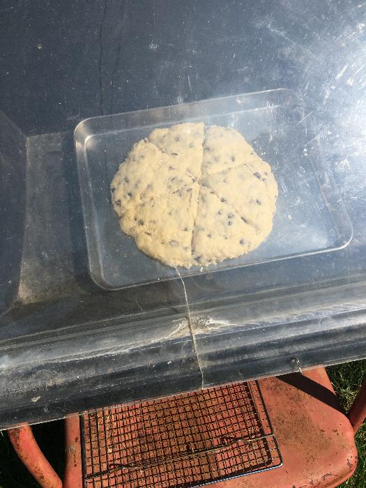 solar cooking oven scones