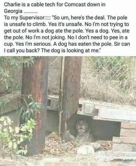 [Thumbnail for FB_IMG_1673541388534.jpg]