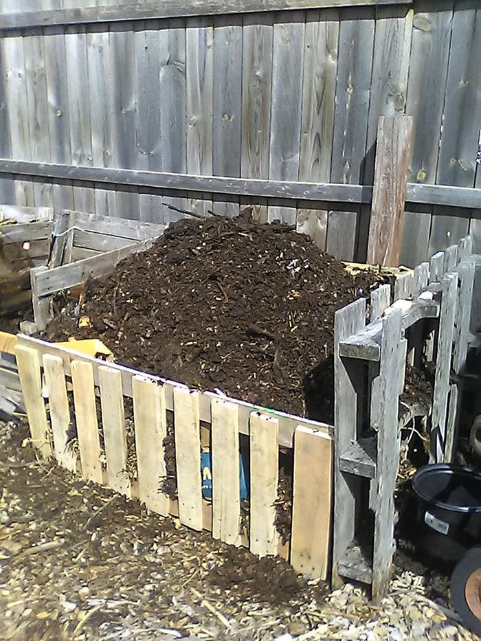 compost pile