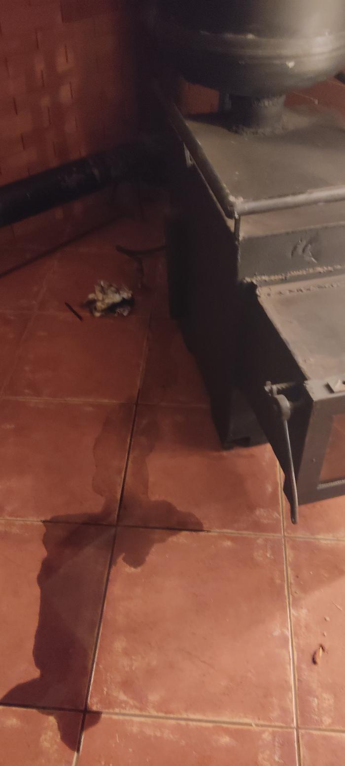 [Thumbnail for IMG_20251003_185618.jpg]