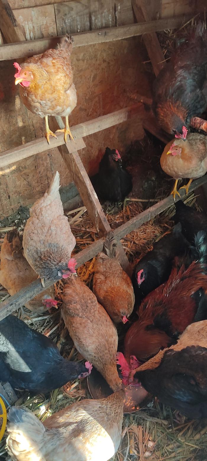 [Thumbnail for IMG_20260116_141813.jpg]