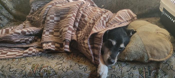 [Thumbnail for IMG_20260116_100447.jpg]