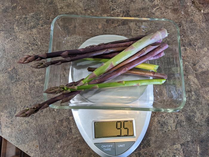 95 grams of asparagus 