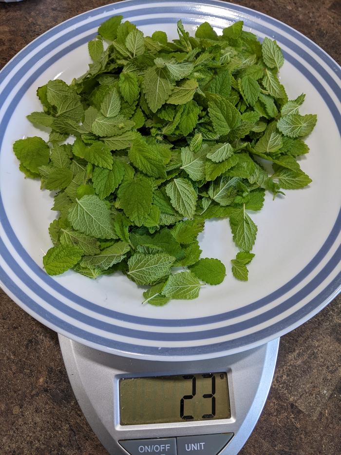 23 grams of lemon balm