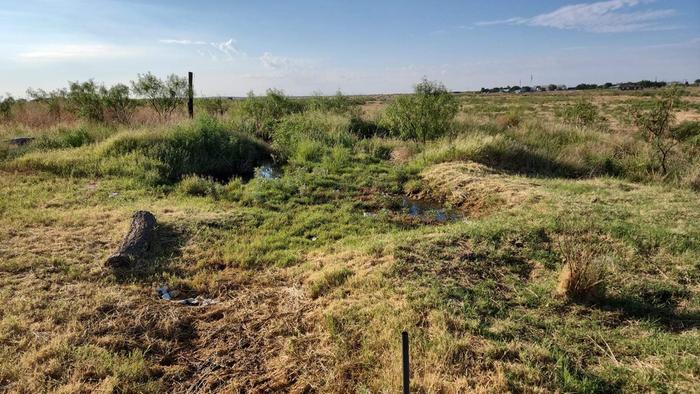 One drainage basin off driveway.