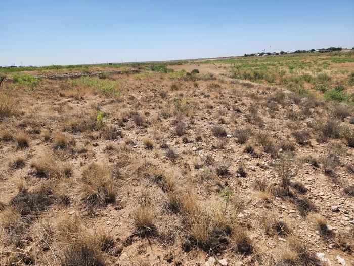 What the land looks without the basin near by.