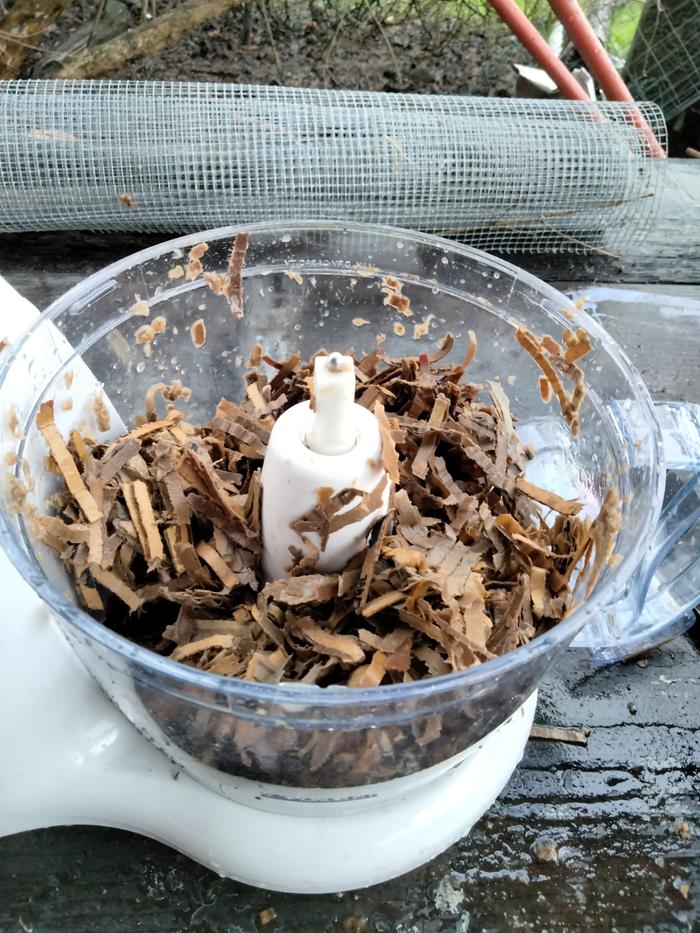 Soaked shredded cardboard 