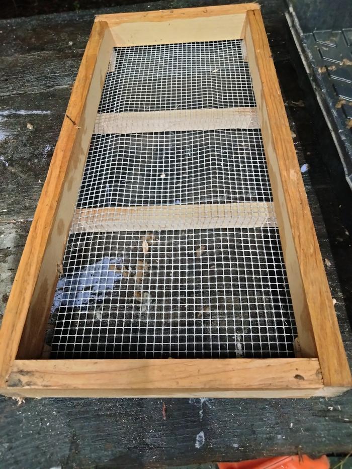 Tray for seed blocks 