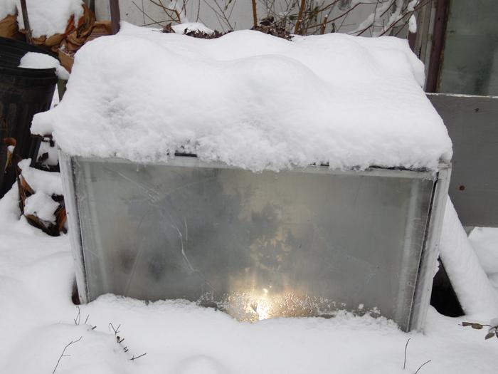 Meiwa graftd to Flying dragon