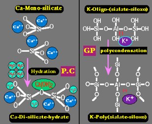 portland cement and geopolymer molecules