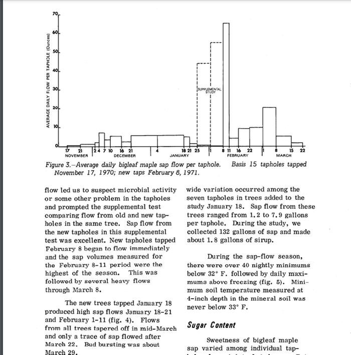 Chart of Big Leaf Maple sap flow in winter 1970-71