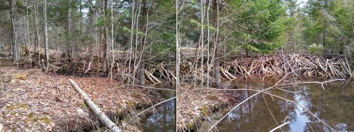 left and right views of a dam seen from downstream