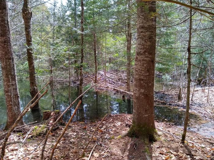 same dam seen from upstream