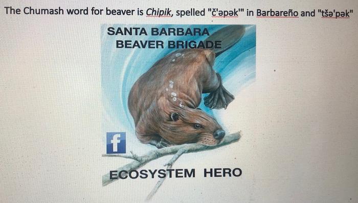 [Thumbnail for Chumash-beaver-word-image.jpg]