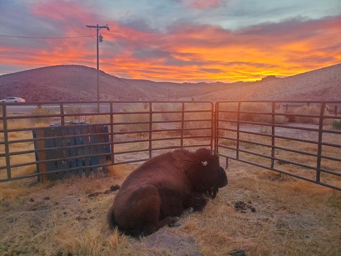 [Thumbnail for FDAA3A7C-7E8F-4771-AE71-F21F7FF467EB.jpeg]