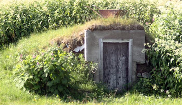 Root cellar hill