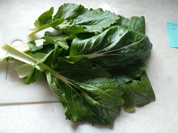 Bok choi