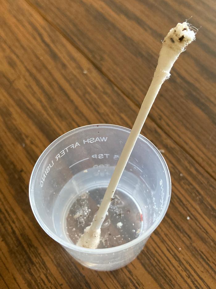 [Thumbnail for Mold-and-hard-water-bits.jpg]