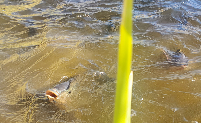 [Thumbnail for 9072AE3E-2541-4E72-96F8-D301CA6DD643.png]