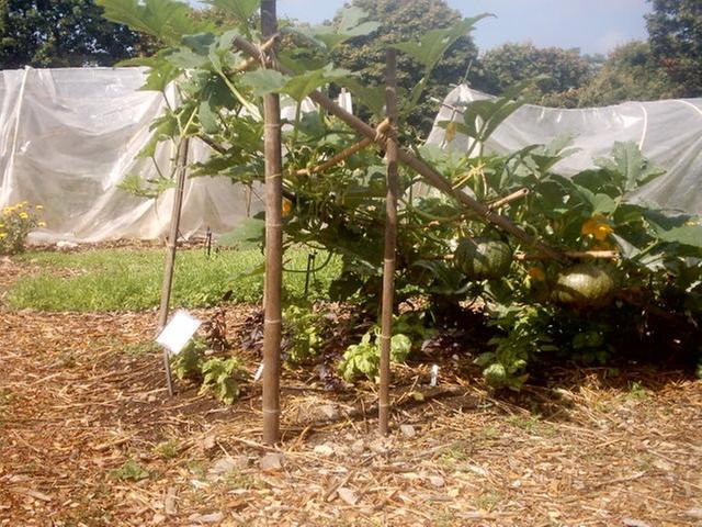 [Thumbnail for vertical-2.jpg]