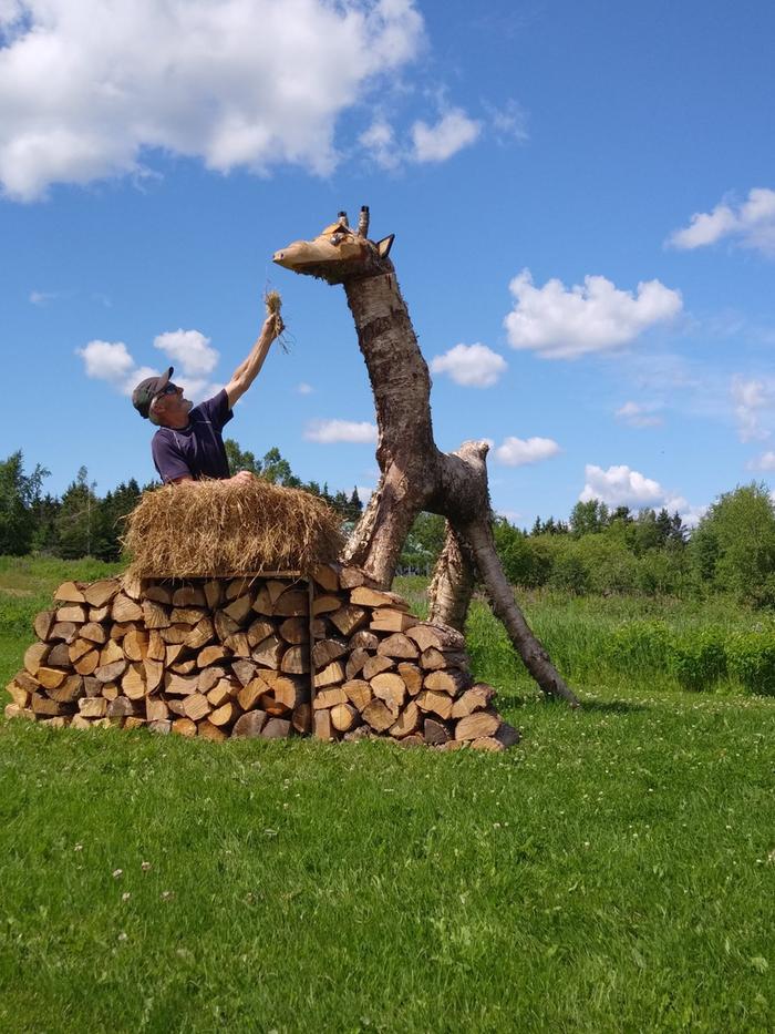 Giraffe made from firewood and an upside down tree