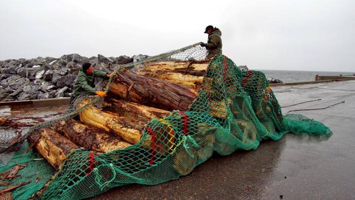 Net ful of driftwood