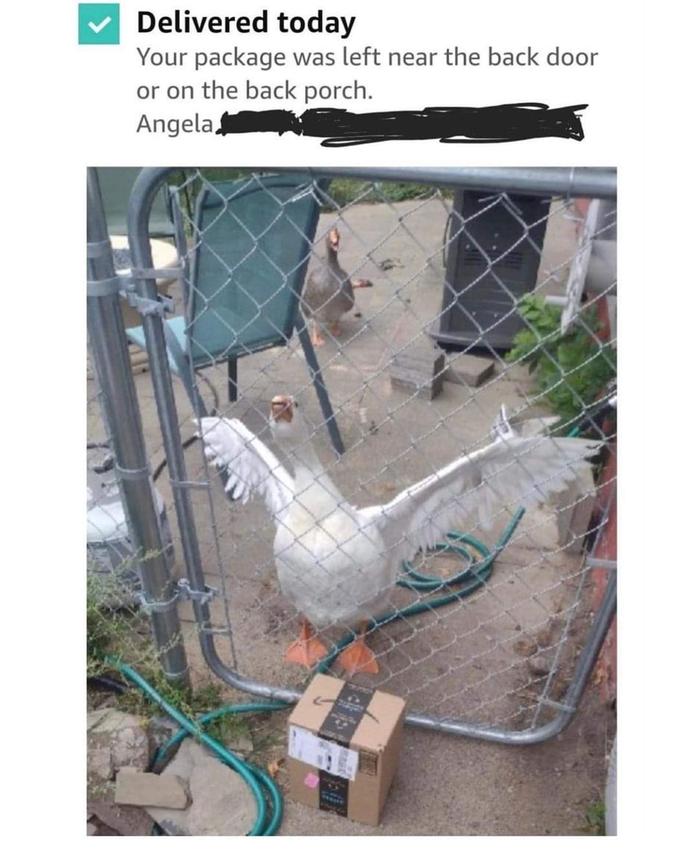 [Thumbnail for FB_IMG_1702040399282.jpg]