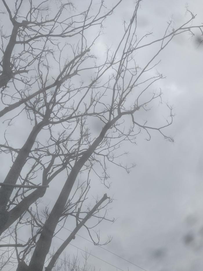 [Thumbnail for 20230219_142018.jpg]