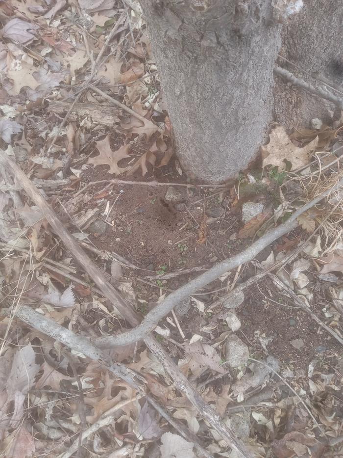 [Thumbnail for 20230219_142014.jpg]