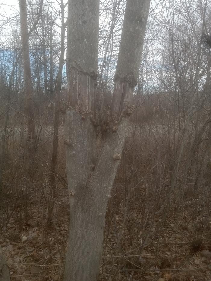 [Thumbnail for 20230219_142011.jpg]