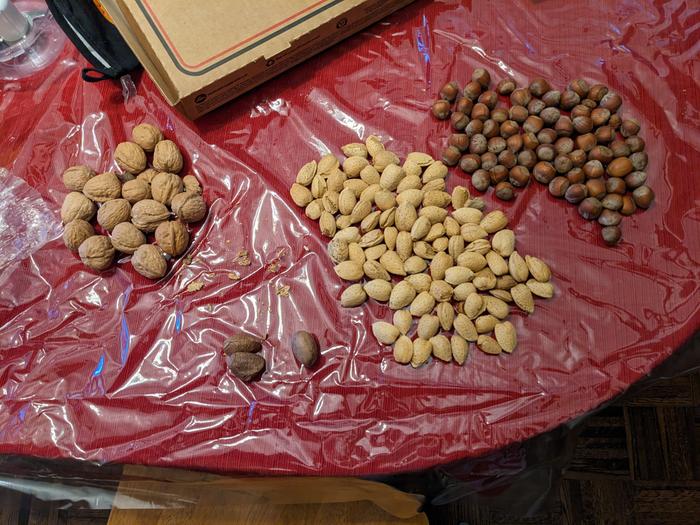Mixed nuts sorted 