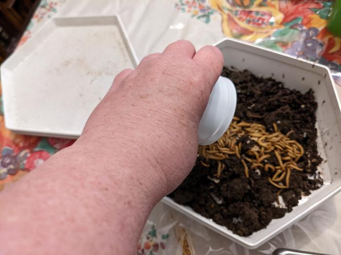 On compost 