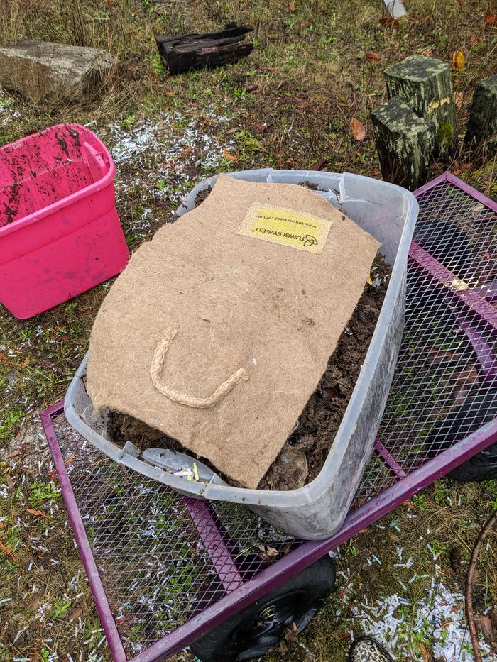 Worm bin