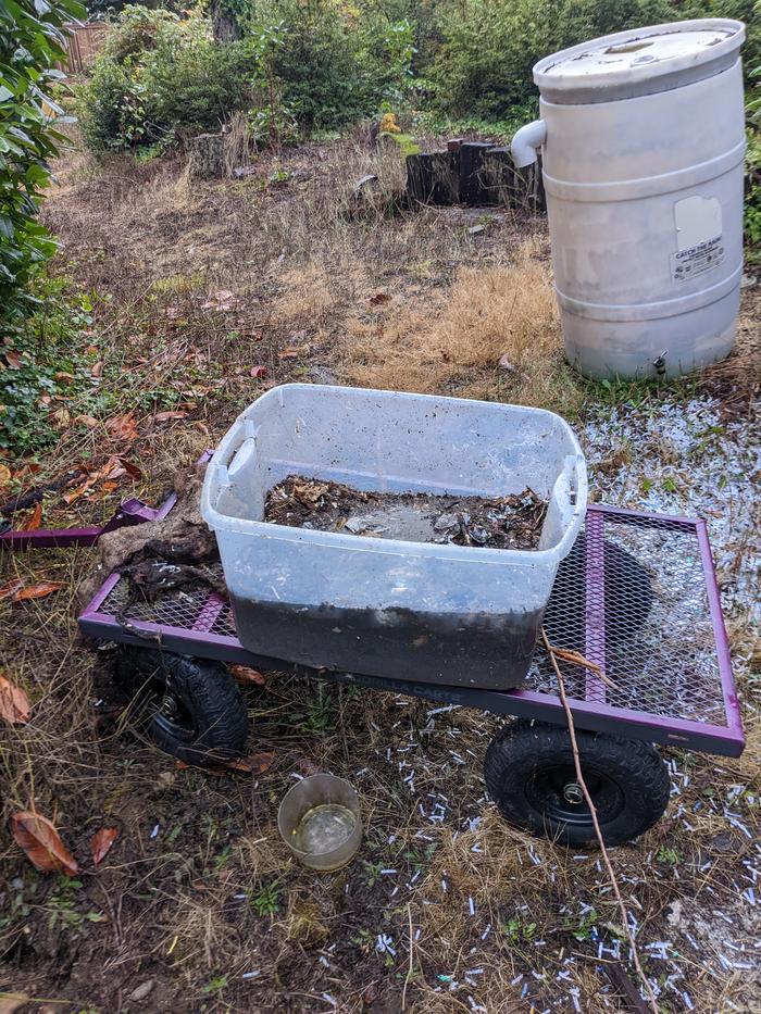 Worm bin drain 