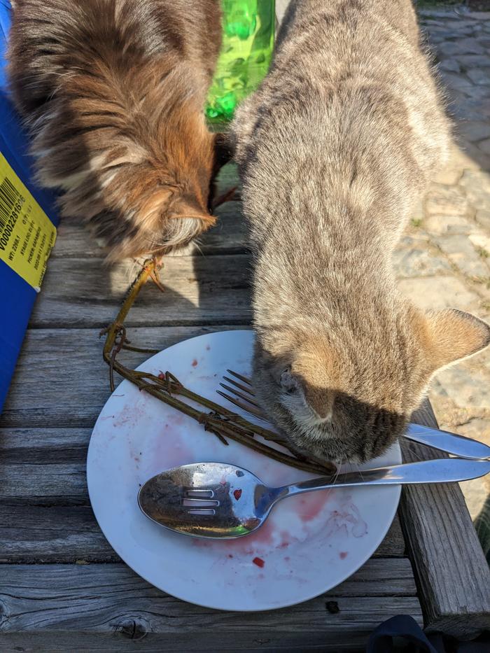 I'm helping 