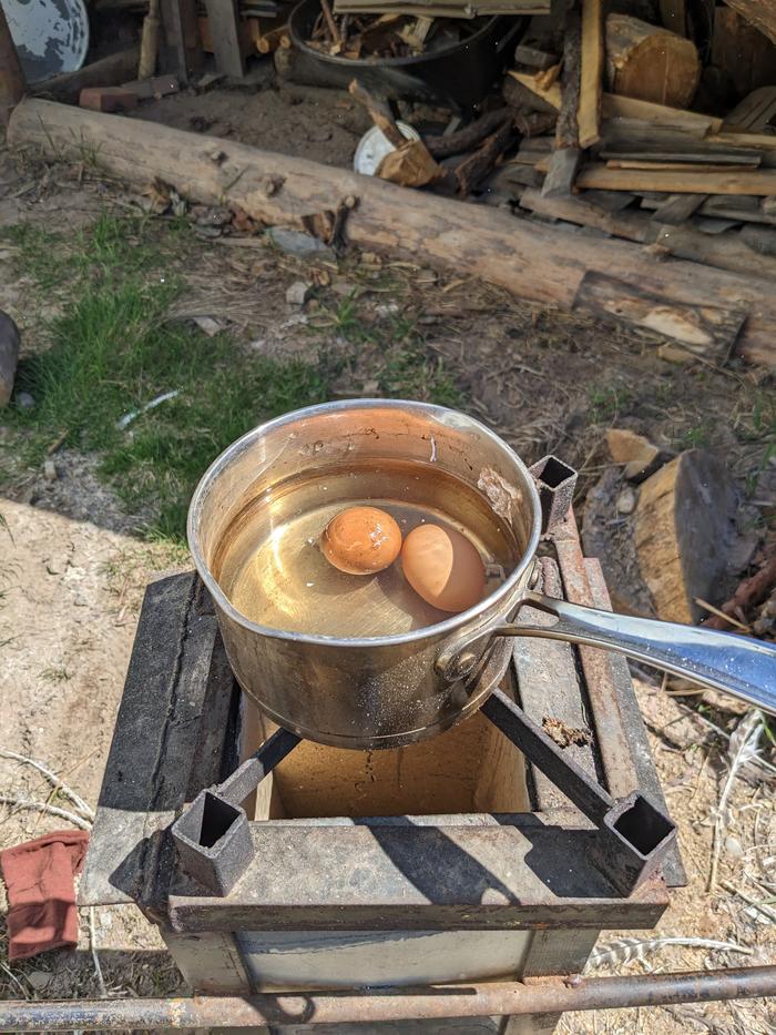 Egg 