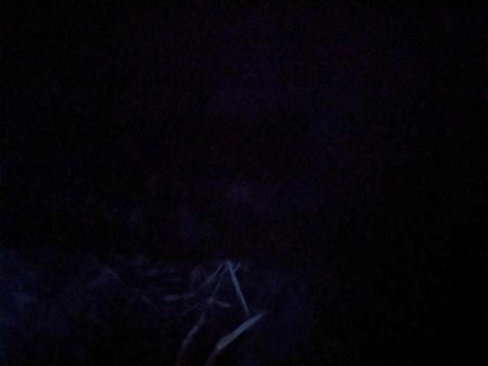 Pee at night 
