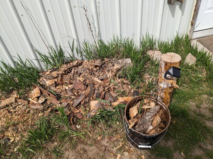 Wood chips 
