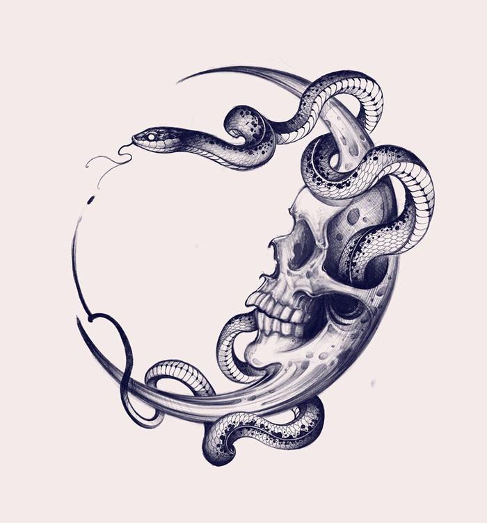 [Thumbnail for snake-skull-drawing.jpg]