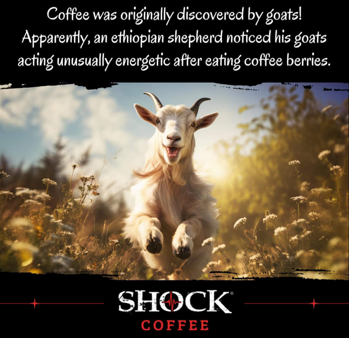 [Thumbnail for Screenshot_20230804-222331-620.png]